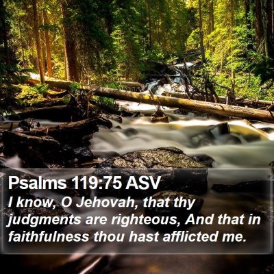 Psalms 119:75 ASV Bible Verse Image