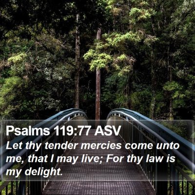 Psalms 119:77 ASV Bible Verse Image