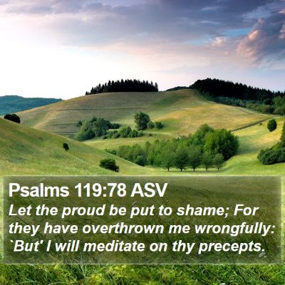 Psalms 119:78 ASV Bible Verse Image