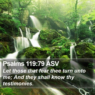Psalms 119:79 ASV Bible Verse Image