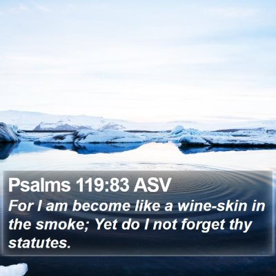 Psalms 119:83 ASV Bible Verse Image