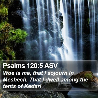 Psalms 120:5 ASV Bible Verse Image