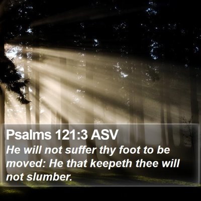 Psalms 121:3 ASV Bible Verse Image