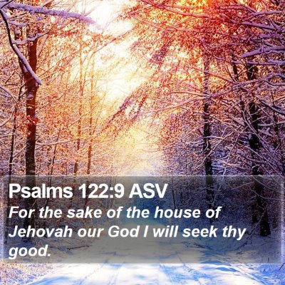Psalms 122:9 ASV Bible Verse Image
