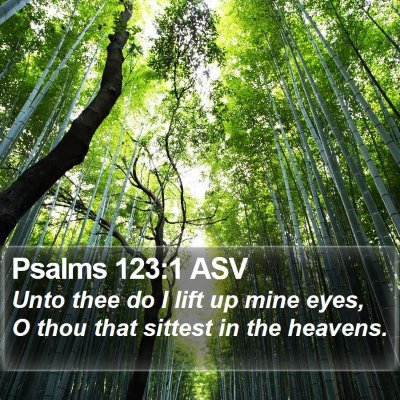 Psalms 123:1 ASV Bible Verse Image