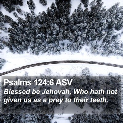 Psalms 124:6 ASV Bible Verse Image