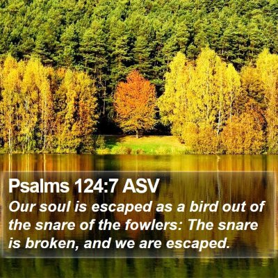 Psalms 124:7 ASV Bible Verse Image