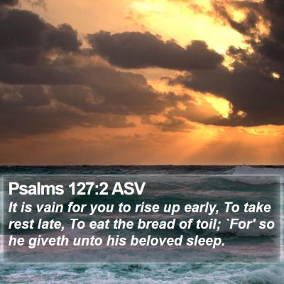 Psalms 127:2 ASV Bible Verse Image