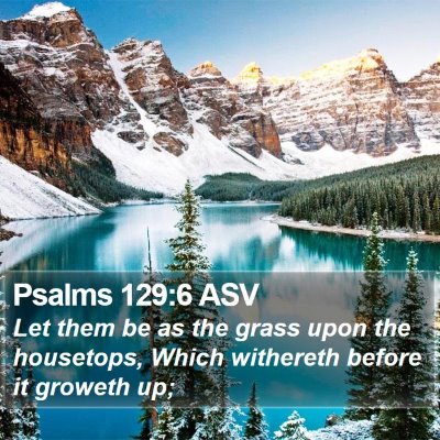 Psalms 129:6 ASV Bible Verse Image