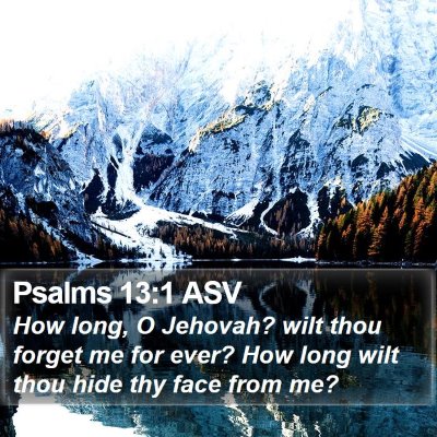 Psalms 13:1 ASV Bible Verse Image