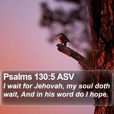 Psalms 130:5 ASV Bible Verse Image