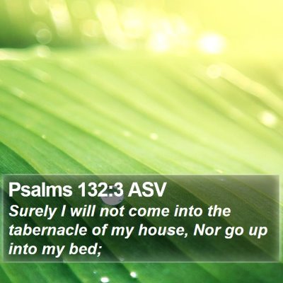 Psalms 132:3 ASV Bible Verse Image