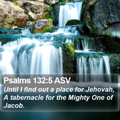 Psalms 132:5 ASV Bible Verse Image
