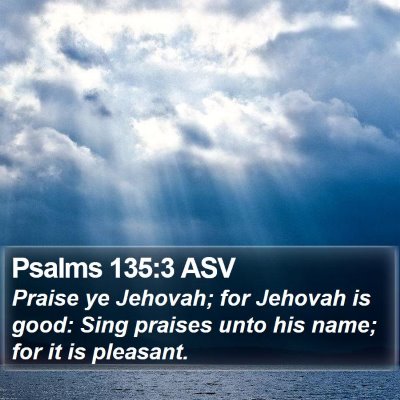 Psalms 135:3 ASV Bible Verse Image