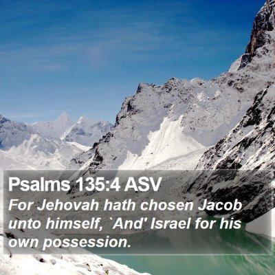 Psalms 135:4 ASV Bible Verse Image