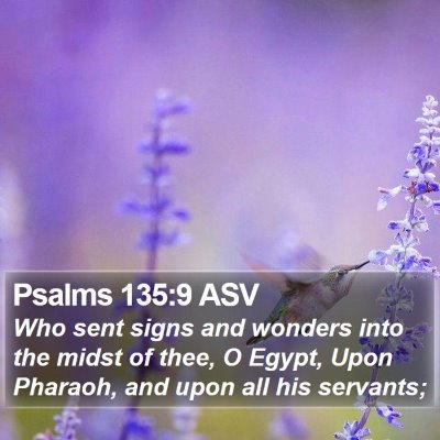 Psalms 135:9 ASV Bible Verse Image