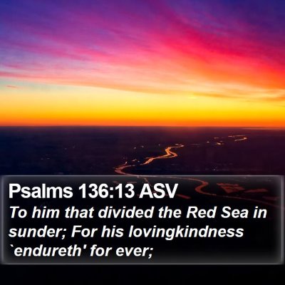 Psalms 136:13 ASV Bible Verse Image