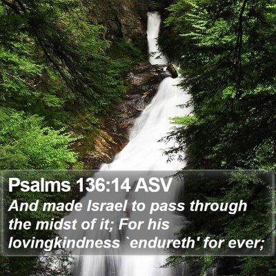 Psalms 136:14 ASV Bible Verse Image