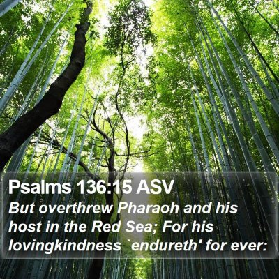 Psalms 136:15 ASV Bible Verse Image