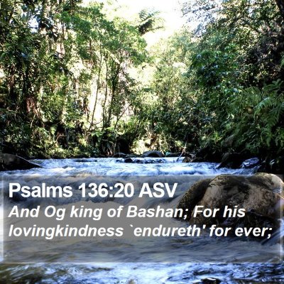 Psalms 136:20 ASV Bible Verse Image
