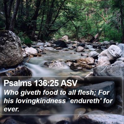 Psalms 136:25 ASV Bible Verse Image