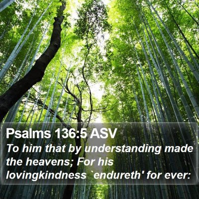 Psalms 136:5 ASV Bible Verse Image
