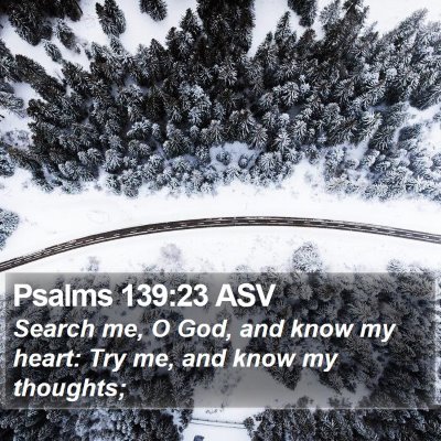 Psalms 139:23 ASV Bible Verse Image