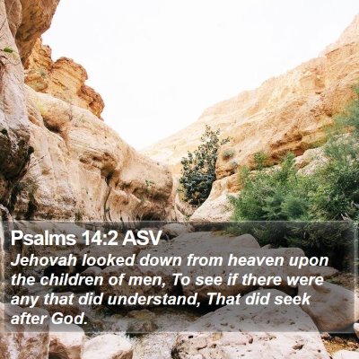 Psalms 14:2 ASV Bible Verse Image