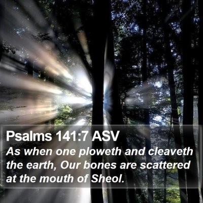 Psalms 141:7 ASV Bible Verse Image