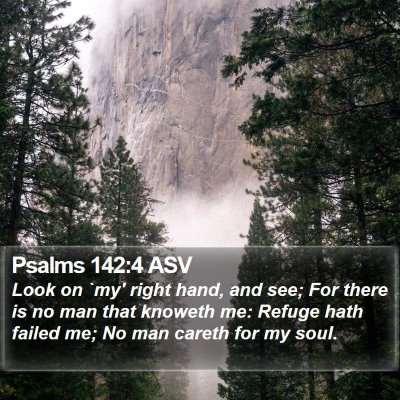 Psalms 142:4 ASV Bible Verse Image