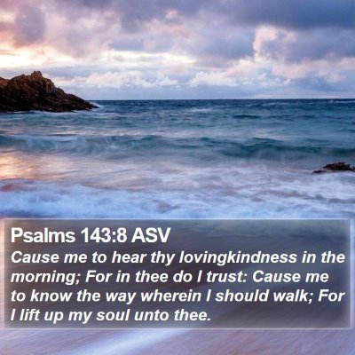 Psalms 143:8 ASV Bible Verse Image