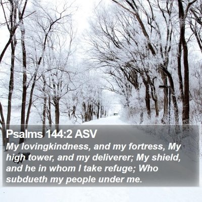 Psalms 144:2 ASV Bible Verse Image