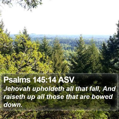Psalms 145:14 ASV Bible Verse Image