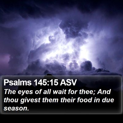 Psalms 145:15 ASV Bible Verse Image