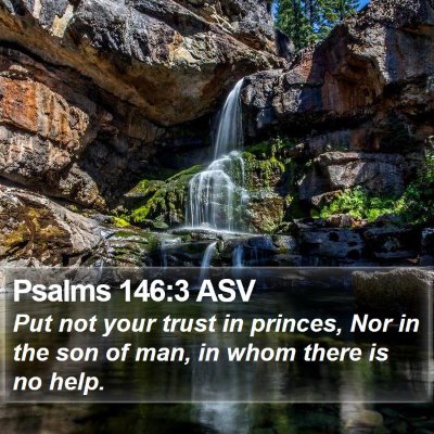 Psalms 146:3 ASV Bible Verse Image