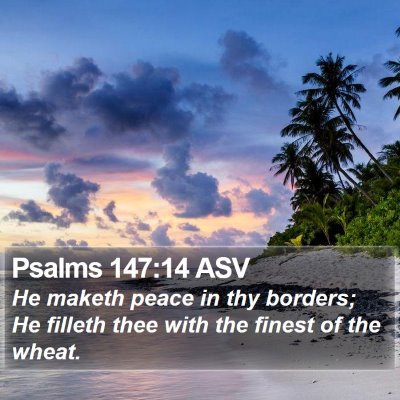 Psalms 147:14 ASV Bible Verse Image