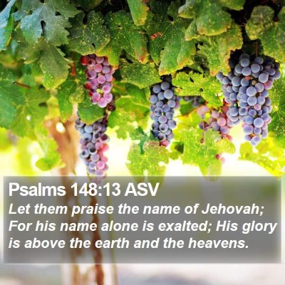 Psalms 148:13 ASV Bible Verse Image
