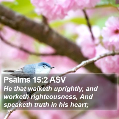 Psalms 15:2 ASV Bible Verse Image
