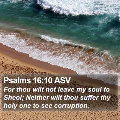 Psalms 16:10 ASV Bible Verse Image