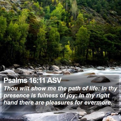 Psalms 16:11 ASV Bible Verse Image