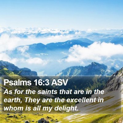 Psalms 16:3 ASV Bible Verse Image