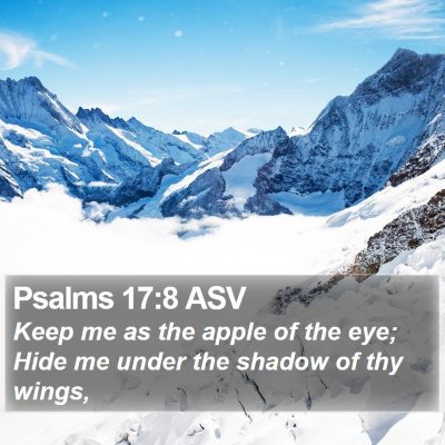 Psalms 17:8 ASV Bible Verse Image