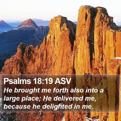 Psalms 18:19 ASV Bible Verse Image