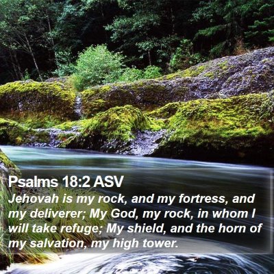 Psalms 18:2 ASV Bible Verse Image