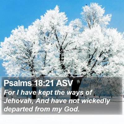 Psalms 18:21 ASV Bible Verse Image