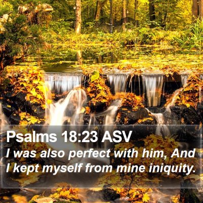Psalms 18:23 ASV Bible Verse Image