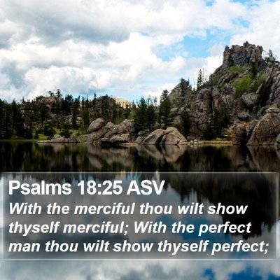 Psalms 18:25 ASV Bible Verse Image