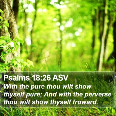Psalms 18:26 ASV Bible Verse Image