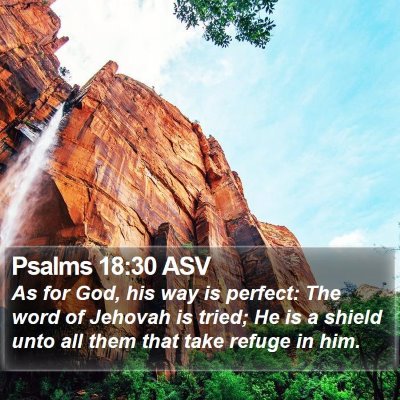 Psalms 18:30 ASV Bible Verse Image