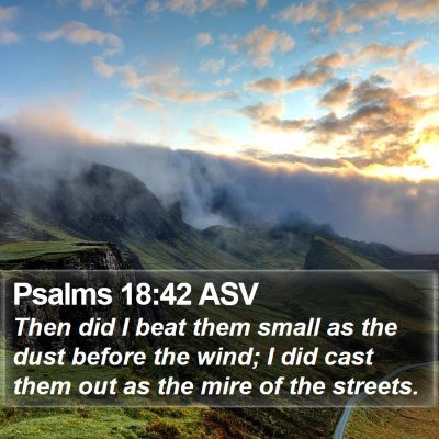 Psalms 18:42 ASV Bible Verse Image